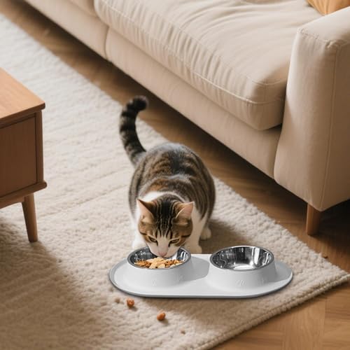 Haustierschale | Nicht-Schlupf-Fütterungsschalen mit Matten | Spritzsichere Anti-Schlupf-wasserdichte Silikonkatze Schalen für Hundefütterung Welpe Pet Cat Rasse tägliche Mahlzeiten Haustierschale | Nicht-Schlupf-Fütterungsschalen mit Matten | Spritzsichere Anti-Schlupf-wasserdichte Silikonkatze Schalen für Hundefütterung Welpe Pet Cat Rasse tägliche Mahlzeiten von szaluyk