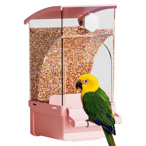 szaluyk Automatische Vogel Futterstation | Automatischer Futterspender | Haustierbedarf Volierendeko Für Nymphensittich Wellensittich Kanarienvogel Fink szaluyk Automatische Vogel Futterstation | Automatischer Futterspender | Haustierbedarf Volierendeko Für Nymphensittich Wellensittich Kanarienvogel Fink von szaluyk