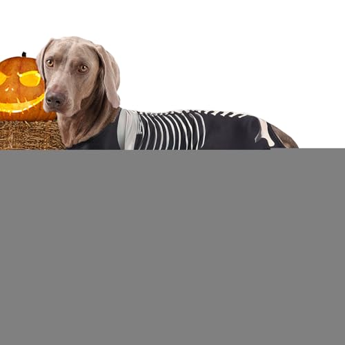 szaluyk Halloween Kostüme Für Hunde - Skelett Hundekleidung,Welpen Ganzkörperkostüm Für Alltag Feiern Reisen Freunde Zuhause szaluyk Halloween Kostüme Für Hunde - Skelett Hundekleidung,Welpen Ganzkörperkostüm Für Alltag Feiern Reisen Freunde Zuhause von szaluyk