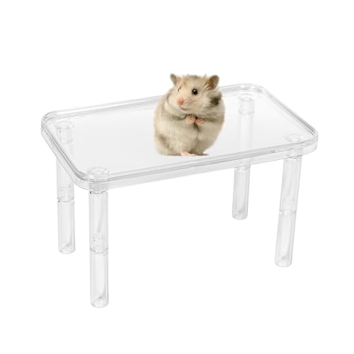 Tafit Hamsterplattform – Käfigzubehör und Spieldekoration für syrische Zwerghamster, Rennmäuse, Mäuse, Degus und andere kleine Haustiere (B x L x H): 24 x 19 x 8,9 - 15,5 cm, transparent von tafit