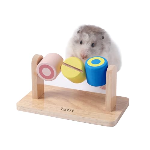 Tafit Holz-Hamster-Anreicherungsspielzeug – kleine Haustiere Kauspielzeug für syrische Hamster, Ratten, Mäuse, Rennmäuse und Igel (Djing) von tafit