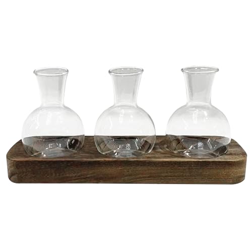 Vasen Propagation Station 3PCS Terrariumglas mit Holzständer, Pflanzenterrarium Desktop Clear Glass Vase, Innenhydroponik -Glühbirnen -Vase -Pflanzer für Bürodekoration von tddouck