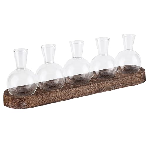 Vasen Propagation Station 5pcs Terrariumglas mit Holzständer, Pflanzenterrarium Desktop Clear Glass Vase, Innenhydroponik -Glühbirnen -Vase -Pflanzer für Bürodekoration von tddouck