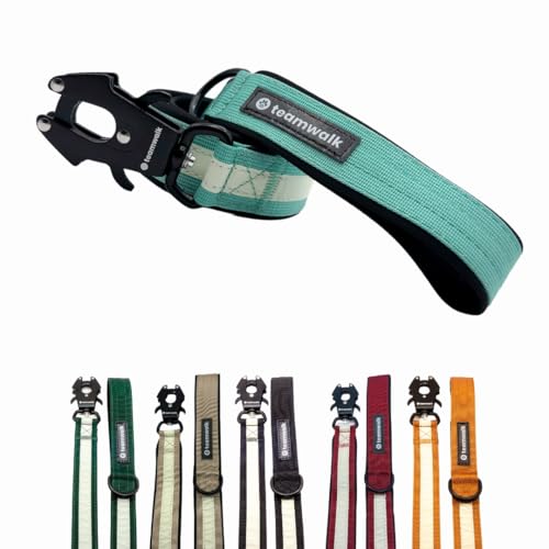 teamwalk® Premium Hundeleine - mit Leuchtstreifen, weicher Polsterung, robuster Schnalle, (Mint, Leine Mint(130cm)) - perfekt abgestimmte Länge, für eine Gute Leinenführichkeit. von teamwalk