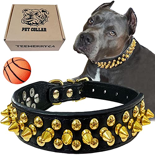 TEEMERRYCA Hundehalsband, Leder, mit goldfarbenen Spikes, für Herren, kleine, mittelgroße und große Haustiere, Pit Bulldogge, schützt den Hund vor Greifen, Größe M (30 - 38 cm) von teemerryca