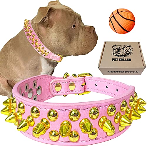 TEEMERRYCA Hundehalsband aus Leder, mit goldfarbenen Spikes, für kleine und mittelgroße Haustiere, Pit Bulldogge, schützt den Hund vor dem Greifen von großen Hunden, Größe XXL (50 - 57 cm) von teemerryca