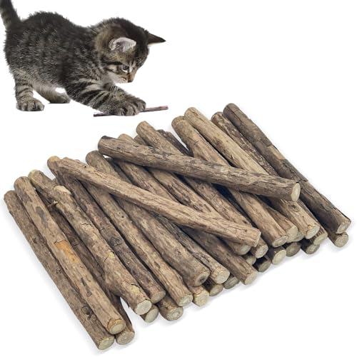 tekenewbse 32 Stück Katzenminze Stick, Katzen Zahnpflege Sticks Matatabi Stick Katze Kausticks Spielzeug, Kauhölzer Sticks für Zahnpflege & Gegen Mundgeruch, Katzenminze Sticks zum Schleifen Zähnen von tekenewbse