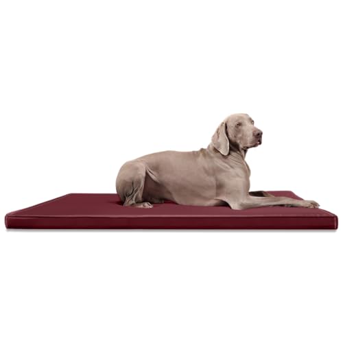 tierlando® Carlos Ortho-Medic Orthopädische Hundematte Kunstleder Visko Hundebett Matratze Größe: L - 100x80cm - CA4 | Farbe: 04 Bordeaux von tierlando