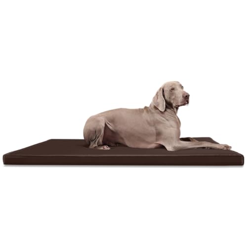 tierlando® Carlos Ortho-Medic Orthopädische Hundematte Kunstleder Visko Hundebett Matratze Größe: M - 80x60cm - CA3- | Farbe: 01 braun von tierlando