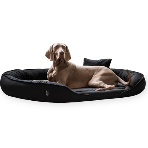 tierlando® Clarissa – Orthopädisches Hundebett aus 100% Baumwollstoff Waschbar Mittelgroße Große Hunde L XL Hundesofa Hundekorb (02 Graphit, 115x90 cm) von tierlando