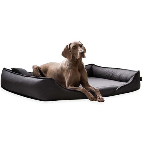 tierlando® Clemens - Orthopädisches Hundebett aus strapazierfähigem Baumwollstoff Größe: 130x100cm | Farbe: 02 Graphit von tierlando