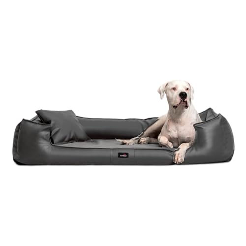 tierlando® Orthopädisches Hundebett Goofy Kunstleder inkl. Matratzenschoner Mittelgroße und Große Hunde Hundesofa Gr. XL+ 130cm Graphit von tierlando