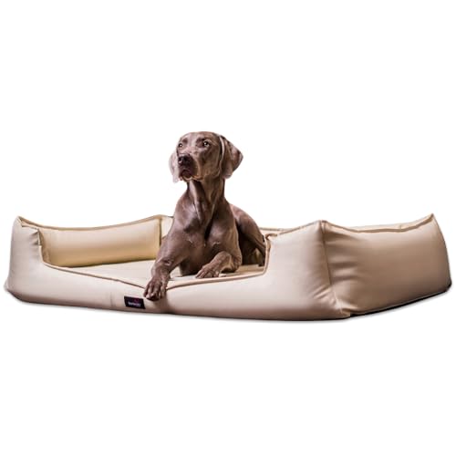 tierlando® Orthopädisches Hundebett Goofy Kunstleder inkl. Matratzenschoner Mittelgroße und Große Hunde Hundesofa Gr. XXL+ 160cm Creme von tierlando