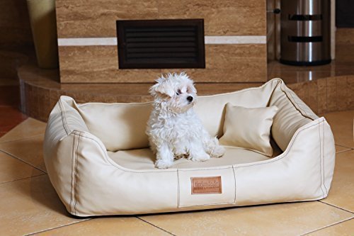 tierlando® Maddox VIP Orthopädisches Hundebett VISCO Velours Kunstleder S - XXL Größe: MO3-AL 80cm | Farbe: 05 Creme von tierlando