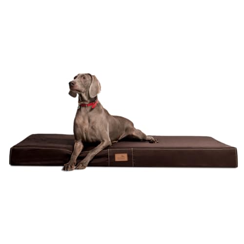 tierlando® Mobile Hundematratze Hugo Basic | Gehobene Stabilität & Qualität! | Anti-Haar Polyester | | L 100 x 80 x 13 cm | Braun von tierlando