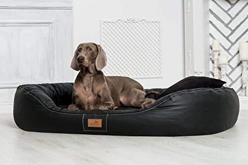 tierlando® Nonplusultra Lennart orthopädisches Hundebett mit Visco Plus | Kunstleder | Premium-Lounge Gr. XXL 140 cm SCHWARZ von tierlando