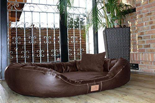 tierlando® Nonplusultra Lennart orthopädisches Hundebett mit Visco Plus | Kunstleder Velours | Premium-Lounge Gr. XXL 140 cm Braun von tierlando