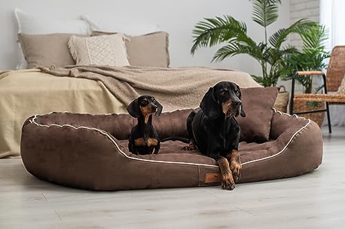 tierlando® Nonplusultra Marlon orthopädisches Hundebett mit Visco Plus Matratze in Velours! Soft-Lounge! Gr. M L XXL XXXL | 85 cm bis 220 cm (XXXL 170 x 110 cm, 01| Braun) von tierlando