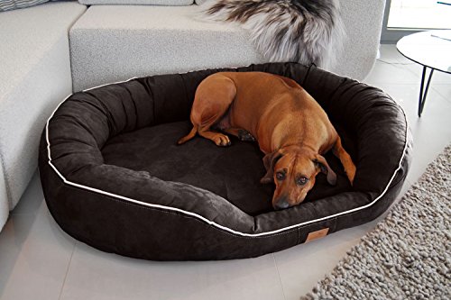 tierlando® Nonplusultra Marlon orthopädisches Hundebett mit Visco Plus Matratze in Velours! Soft-Lounge! Gr. M L XXL XXXL | 85 cm bis 220 cm (XXXL 170 x 110 cm, 03| Schwarz) von tierlando