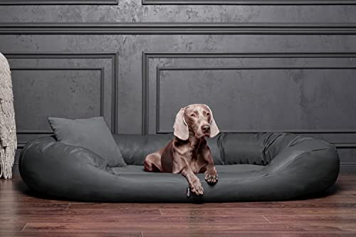 tierlando® Orthopädisches Hundebett Sammy | Kunstleder-Velours-Mix | Dicke Umrandung | L - XXXXL Hundesofa Grau Gr. XXL 140 cm von tierlando