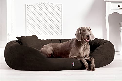 tierlando® Orthopädisches Hundebett Sammy | High-Tech-Velours | Dicke Umrandung | L - XXXXL Hundesofa Braun Gr. XXL 140 cm von tierlando