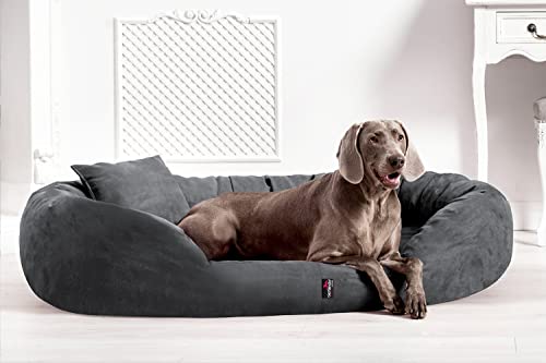 tierlando® Orthopädisches Hundebett Sammy | High-Tech-Velours | Dicke Umrandung | L - XXXXL Hundesofa Grau Gr. XXL 140 cm von tierlando