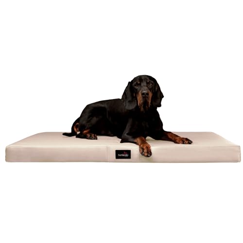 tierlando® Orthopädische Hundematratze Alice Easy CLEAN Kunstleder Visco-Hundematte Größe: 80x60cm | Farbe: 05 Creme von tierlando