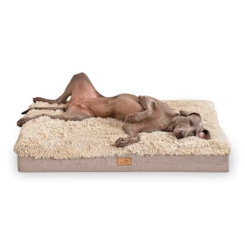 tierlando® Orthopädische Hundematratze Pablo Shaggy – Ortho Plus Anti-Rutsch-Unterseite Melange-Rand Langflor Plüsch-Liegefläche waschbar Größe: 80x60cm | Farbe: 14 Beige von tierlando