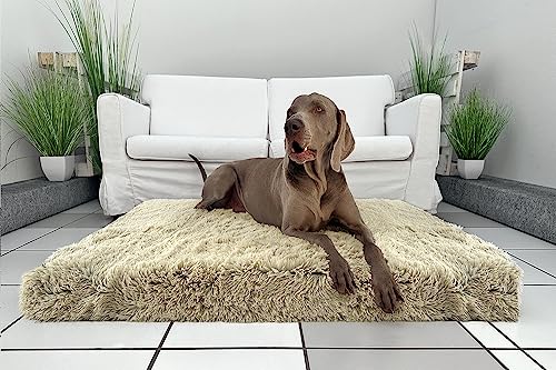 tierlando® Orthopädische Hundematratze PITT Shaggy – ORTHO PLUS Anti-Rutsch-Unterseite Langflor Plüsch-Bezug waschbar Größe: 80x60cm | Farbe: 14 Beige von tierlando