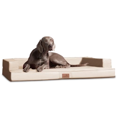 tierlando® Orthopädisches Design Hundesofa Gibson VISCO Kunstleder kubische Form (GI5- XL 120cm, 05 Creme) von tierlando