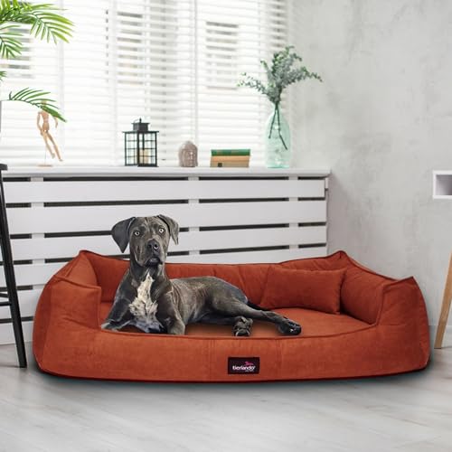 tierlando® Orthopädisches Hundebett Bruce Velours Abnehmbar Waschbar Mittelgroße Große Hunde L XL Hundesofa Hundekorb Viereckig (27 Terracotta, 130x100cm) von tierlando