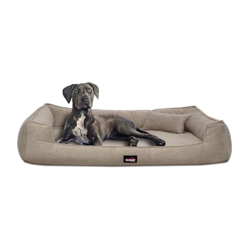 tierlando® Orthopädisches Hundebett Bruce Velours Abnehmbar Waschbar Mittelgroße Große Hunde L XL Hundesofa Hundekorb Viereckig Größe: 110x90cm | Farbe: 14 Beige von tierlando