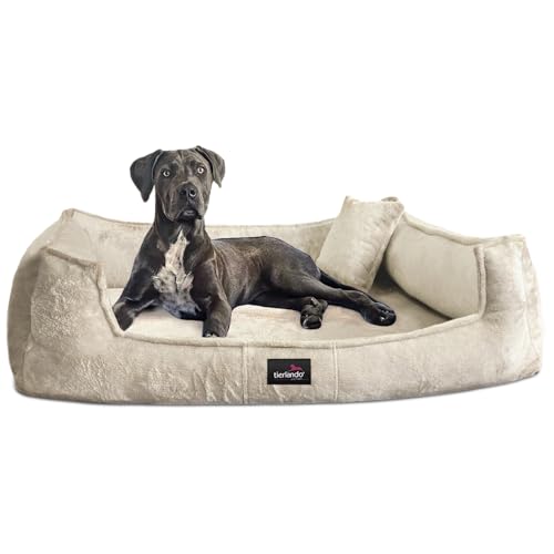 tierlando® Orthopädisches Hundebett Franklin | Hochwertiges Hundesofa | Kuscheliger Teddy-Stoff XXL+ (160x110 cm) | 05 Creme von tierlando