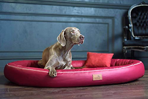 tierlando® Orthopädisches Hundebett Gilbert Ortho Soft Latex Velours Kunstleder (GLB5-TL 120x100 cm, 04 Bordeaux) von tierlando