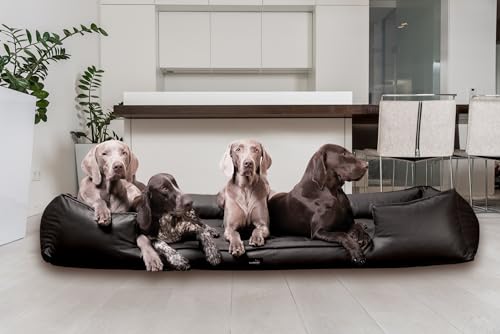 tierlando® Orthopädisches Hundebett Goofy Kunstleder inkl. Matratzenschoner Mittelgroße und Große Hunde Hundesofa Gr. XXL+ 160cm Schwarz von tierlando