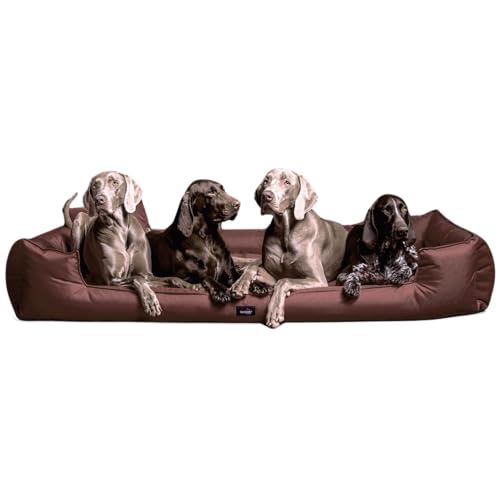 tierlando® Orthopädisches Hundebett Goofy inkl. Matratzenschoner für große Hunde Polyester Waschbar Hundesofa XL XXL XXXL (G6 | 160 x 110 cm, 01 | Braun) von tierlando