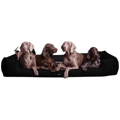 tierlando® Orthopädisches Hundebett Goofy inkl. Matratzenschoner für große Hunde Polyester Waschbar Hundesofa XL XXL XXXL (G6 | 160 x 110 cm, 03 | Schwarz) von tierlando