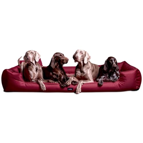 tierlando® Orthopädisches Hundebett Goofy inkl. Matratzenschoner für große Hunde Polyester Waschbar Hundesofa XL XXL XXXL (G6 | 160 x 110 cm, 04 | Dunkelrot) von tierlando