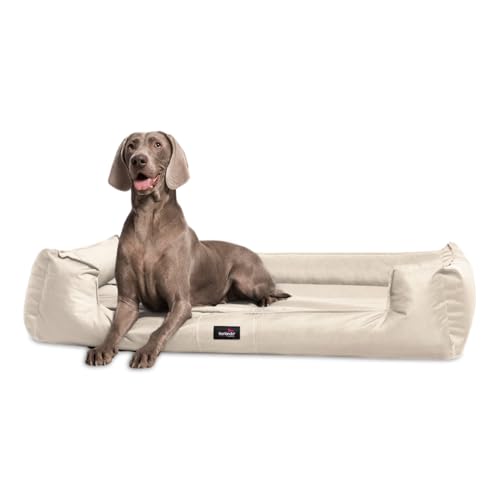 tierlando® Orthopädisches Hundebett Goofy inkl. Matratzenschoner für große Hunde Polyester Waschbar Hundesofa XL XXL XXXL (G6 | 160 x 110 cm, 05 | Creme) von tierlando