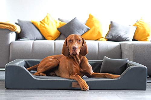 tierlando® Orthopädisches Hundebett Melody Latex Kunstleder Anti-Haar (MDY5-LL | 120x85 cm (Innen 105x75 cm), 02 | Graphit) von tierlando