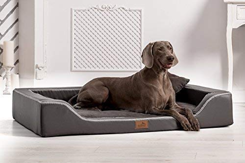 tierlando® Orthopädisches Hundebett Melody Latex Kunstleder und High-Tech Velours (MDY6-TL | 150x100 cm (Innen 130x80 cm), 02 | Graphit) von tierlando