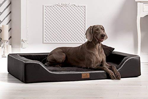 tierlando® Orthopädisches Hundebett Melody Latex Kunstleder und High-Tech Velours (MDY6-TL | 150x100 cm (Innen 130x80 cm), 03 | Schwarz) von tierlando