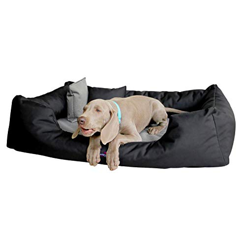 tierlando® Orthopädisches Hundebett Nestor | Starkes Oxford 2000D Duo | Extra Robust Schwarz (NE3 M+ 90 cm) von tierlando