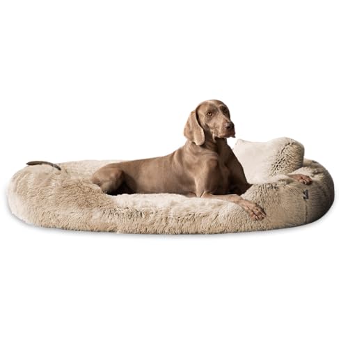 tierlando® Orthopädisches Hundebett Pamela Shaggy – kuschelig, flauschig, waschbar, herausnehmbar Langer Plüsch, Langflor Größe: 145x105cm | Farbe: 14 Beige von tierlando