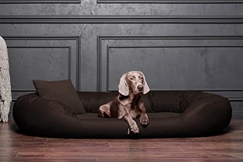 tierlando® Orthopädisches Hundebett Sammy | Kunstleder-Velours-Mix | Dicke Umrandung | L - XXXXL Hundesofa (Gr. L 100 cm von tierlando