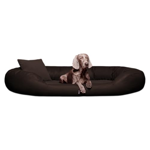 tierlando® Orthopädisches Hundebett Sammy | Kunstleder-Velours-Mix | Dicke Umrandung | L - XXXXL Hundesofa (Gr. L 100 cm von tierlando