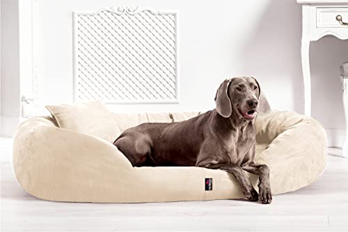 tierlando® Orthopädisches Hundebett Sammy | High-Tech-Velours | Dicke Umrandung | L - XXXXL Hundesofa Beige Gr. XXL 140 cm von tierlando