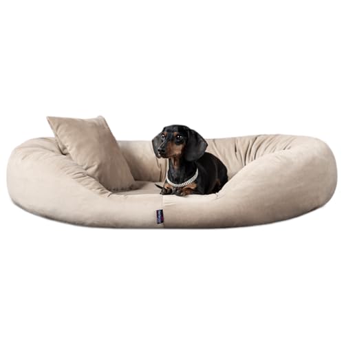 tierlando® Orthopädisches Hundebett Sammy | High-Tech-Velours | Dicke Umrandung | L - XXXXL Hundesofa Beige Gr. XXL 140 cm von tierlando