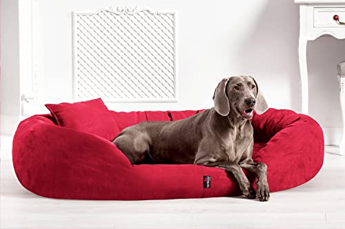 tierlando® Orthopädisches Hundebett Sammy | High-Tech-Velours | Dicke Umrandung | L - XXXXL Hundesofa Bordeaux Gr. XXL 140 cm von tierlando