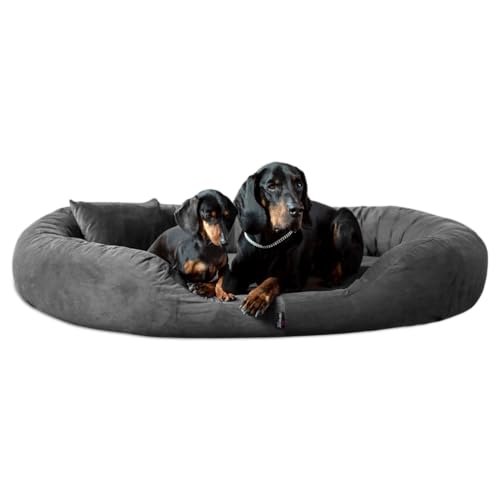 tierlando® Orthopädisches Hundebett Sammy | High-Tech-Velours | Dicke Umrandung | L - XXXXL Hundesofa Grau Gr. XXXL 170 cm von tierlando